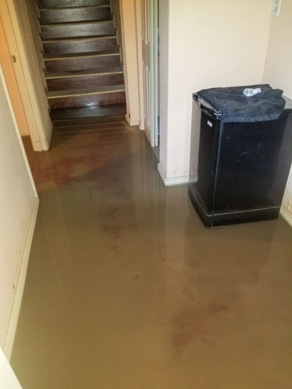 Basement Flood Remediation