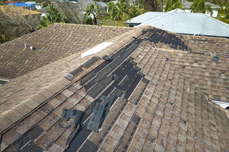Roof Restoration Solutions