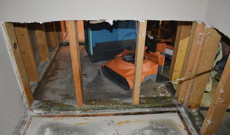 Water Damage Cleanup Team