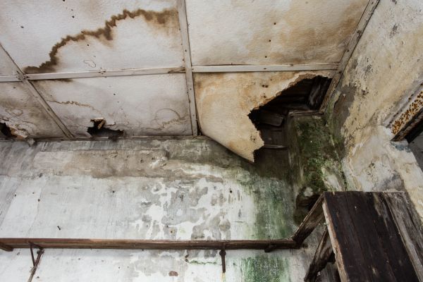 Water Damage Service in Deland