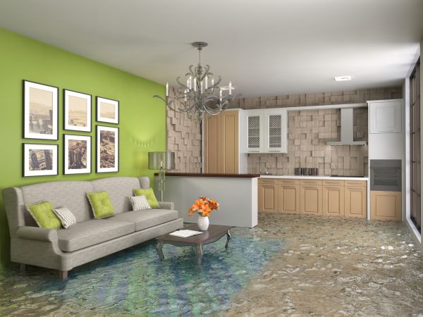 Wet Carpet Drying in Deland