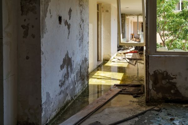 Water Removal Service in Deland