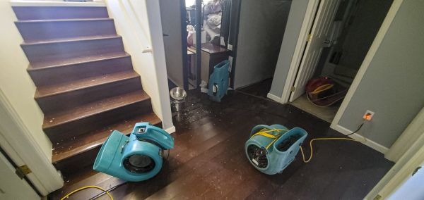Water Damage Remediation in Deland