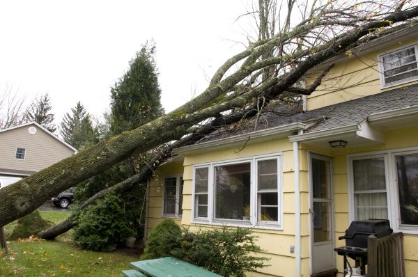 Hurricane Damage Repair in Deland